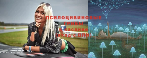 альфа пвп Горно-Алтайск