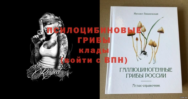 альфа пвп Горно-Алтайск