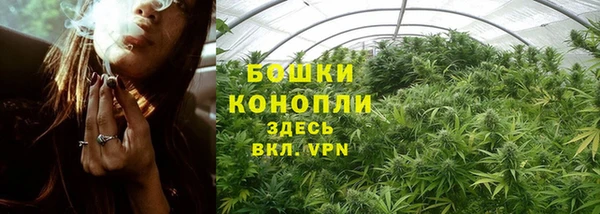 первитин Горняк