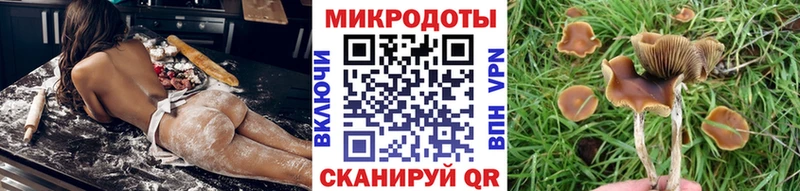 Купить  Кирс  Галлюциногенные грибы MAGIC MUSHROOMS 